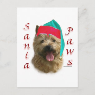 Cartes Pour Fêtes Annuelles Norwich Terrier Père Noël Paws