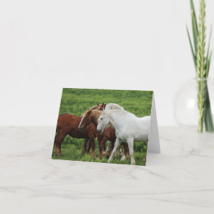 Cartes Pour Fêtes Annuelles Note Card