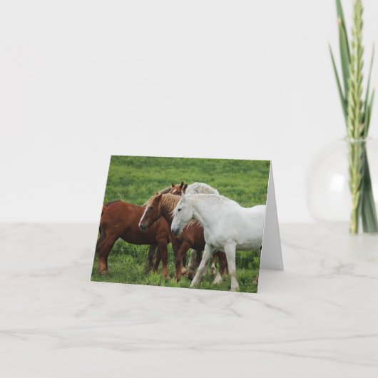 Cartes Pour Fêtes Annuelles Note Card (Devant)