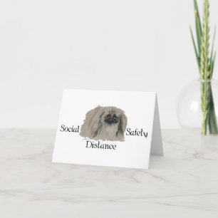 Cartes Pour Fêtes Annuelles Notes sur le chien Pékinois