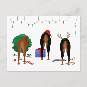 Cartes Pour Fêtes Annuelles Nothin' A Doberman Christmas