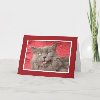 Cartes Pour Fêtes Annuelles Nous sommes Purrfect pour Eachother - customisé