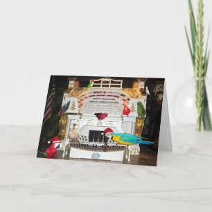 Cartes Pour Fêtes Annuelles Nous voici un Squawkin