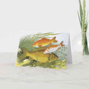 Cartes Pour Fêtes Annuelles Nous vous souhaitons un joyeux Noël avec des poiss
