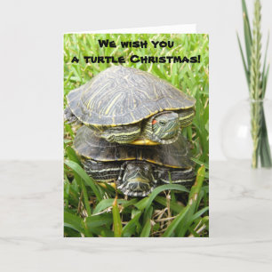 Cartes Pour Fêtes Annuelles Nous vous souhaitons un Noël à la tortue !