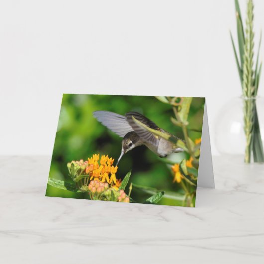 Cartes Pour Fêtes Annuelles Nouvel An des colibris (Devant)