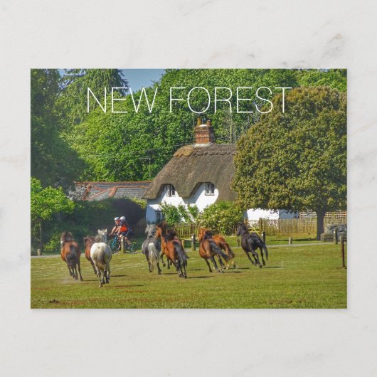 Cartes Pour Fêtes Annuelles Nouvelle Forêt (Devant)