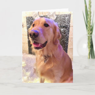 Cartes Pour Fêtes Annuelles Nova Girl's Merry and Bright - Golden Retriever