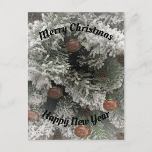 Cartes Pour Fêtes Annuelles Novices de vacances d'alto