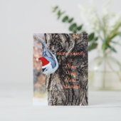 Cartes Pour Fêtes Annuelles Nuthatch Merry Christmas Postcard-customize (Debout devant)