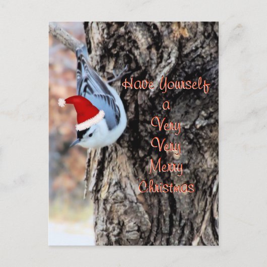 Cartes Pour Fêtes Annuelles Nuthatch Merry Christmas Postcard-customize (Devant)