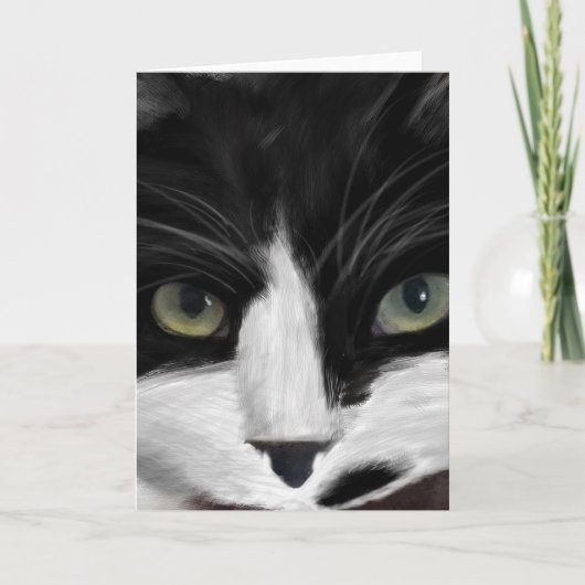 Cartes Pour Fêtes Annuelles observation de chat (Devant)