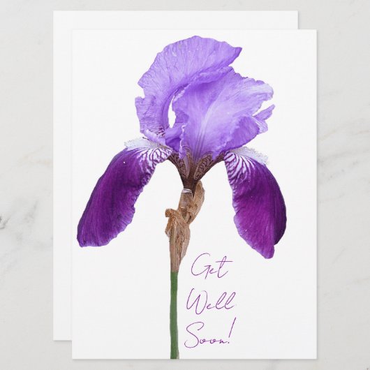 Cartes Pour Fêtes Annuelles Obtenez bien vite élégant iris violet fleurie boho (Devant / Derrière)