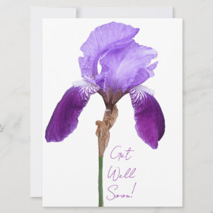Cartes Pour Fêtes Annuelles Obtenez bien vite élégant iris violet fleurie boho