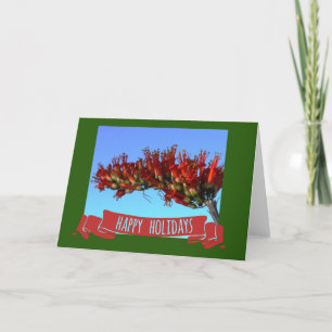 Cartes Pour Fêtes Annuelles Ocotillo du désert