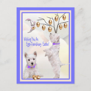 Cartes Pour Fêtes Annuelles Oeufs de chiot de Westie - souhaits de Traordinary