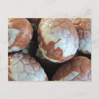 Cartes Pour Fêtes Annuelles Oeufs de pâques belges fins de chocolat,