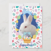 Cartes Pour Fêtes Annuelles OEufs de Pâques lapin (Devant)
