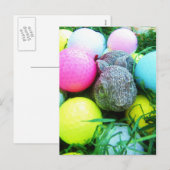 Cartes Pour Fêtes Annuelles Oeufs de Pâques, Lapin, Ballons de golf (Devant / Derrière)