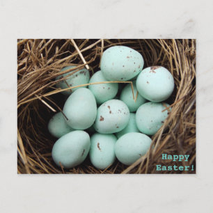 Cartes Pour Fêtes Annuelles OEufs de Pâques mouchetés photo du nid d'oiseau