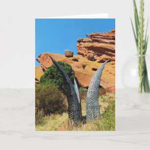 Cartes Pour Fêtes Annuelles Oeuvre d'art dans le parc Red Rocks