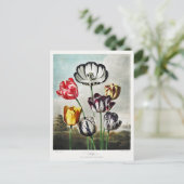 Cartes Pour Fêtes Annuelles Oeuvre des fleurs de tulipes (Debout devant)