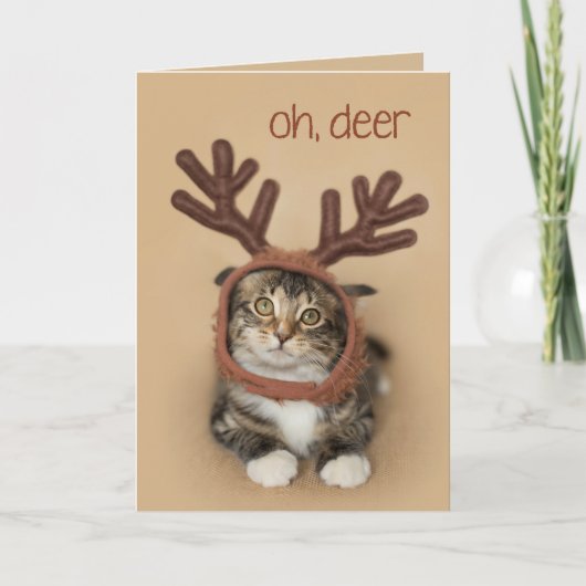 Cartes Pour Fêtes Annuelles Oh Deer Reindeer Kitten (Devant)