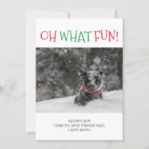 Cartes Pour Fêtes Annuelles Oh Quel Fun Noël Personnalisé