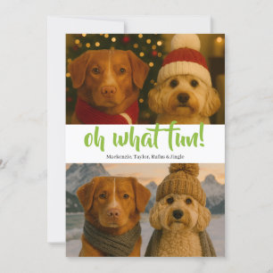 Cartes Pour Fêtes Annuelles Oh What Fun Photo Noël Personnalisé