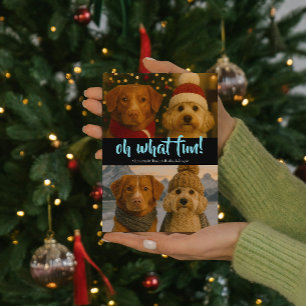 Cartes Pour Fêtes Annuelles Oh What Fun Photo Noël Personnalisé