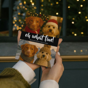 Cartes Pour Fêtes Annuelles Oh What Fun Photo Noël Personnalisé