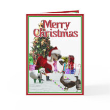 Oie Et Canards Père Noël De Noël