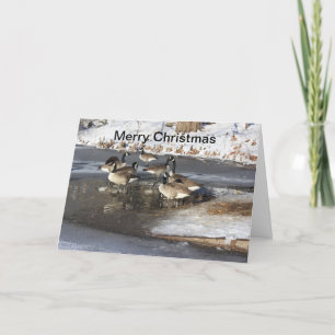 Cartes Pour Fêtes Annuelles Oies en attente