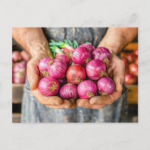 Cartes Pour Fêtes Annuelles Oignons rouges frais détenus par l'agriculteur