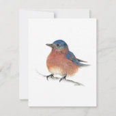 Cartes Pour Fêtes Annuelles Oiseau bleu de vacances (Devant)