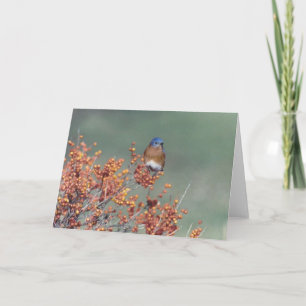 Cartes Pour Fêtes Annuelles Oiseau bleu oriental