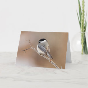 Cartes Pour Fêtes Annuelles Oiseau cardinal en hiver