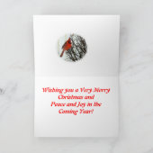 Cartes Pour Fêtes Annuelles Oiseau de Noël (Intérieur)