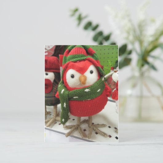 Cartes Pour Fêtes Annuelles Oiseau de Noël (Debout devant)