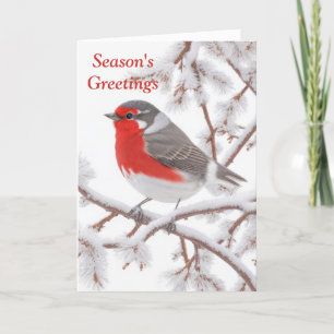 Cartes Pour Fêtes Annuelles Oiseau de Robin Rouge en neige
