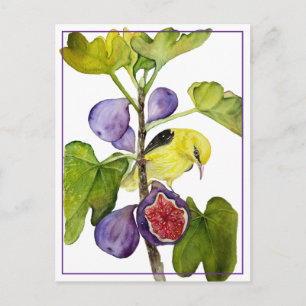 Cartes Pour Fêtes Annuelles Oiseau jaune vibrant avec figs violettes aquarelle