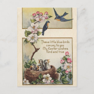 Cartes Pour Fêtes Annuelles Oiseaux bleus vintages de Pâques et salutations de