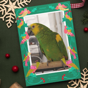 Cartes Pour Fêtes Annuelles Oiseaux d'art populaire, photo de vœux personnalis