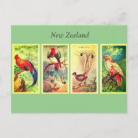 Oiseaux de Nouvelle-Zélande Vintage Lyrebird Jung