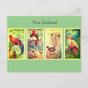 Cartes Pour Fêtes Annuelles Oiseaux de Nouvelle-Zélande  Vintage Lyrebird Jung