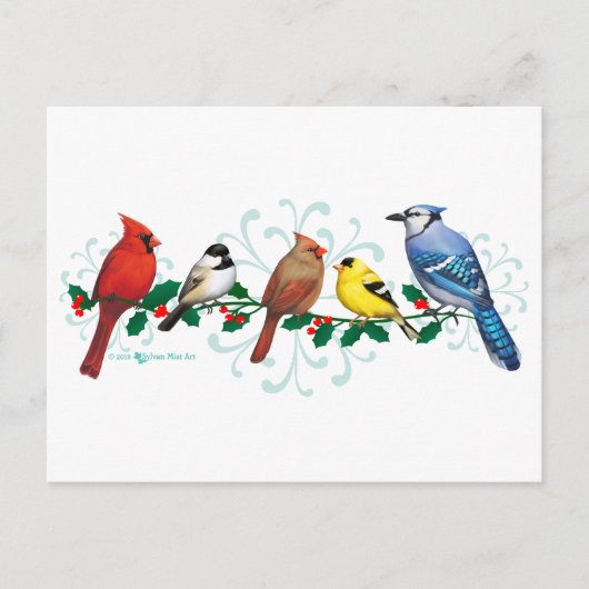 Cartes Pour Fêtes Annuelles Oiseaux de vacances (Devant)