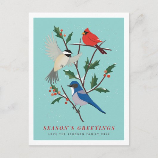 Cartes Pour Fêtes Annuelles Oiseaux d'hiver illustrés (Devant)