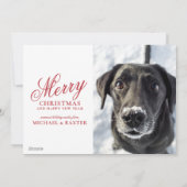 Cartes Pour Fêtes Annuelles Oiseaux d'hiver - Vœux chaleureux (Dos)