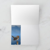 CARTES POUR FÊTES ANNUELLES OISEAUX HYPER / ROBIN BREAST ROUGE (Intérieur)