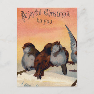 Cartes Pour Fêtes Annuelles Oiseaux joyeux vintages de Noël